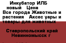 Инкубатор ИЛБ-0,5 новый › Цена ­ 35 000 - Все города Животные и растения » Аксесcуары и товары для животных   . Ставропольский край,Невинномысск г.